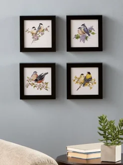 Vermont Songbird Art Collection, Set of 4 Prints