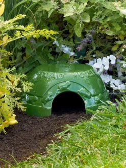Welcome Home Ceramic Toad House