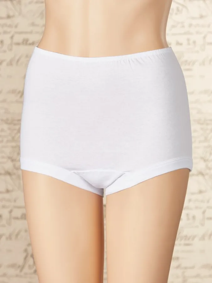 Women's Covered-Waist Cotton Briefs With Wide Leg Bands, 3 Pairs