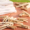 Wooden Spring Clothespins, Set of 100